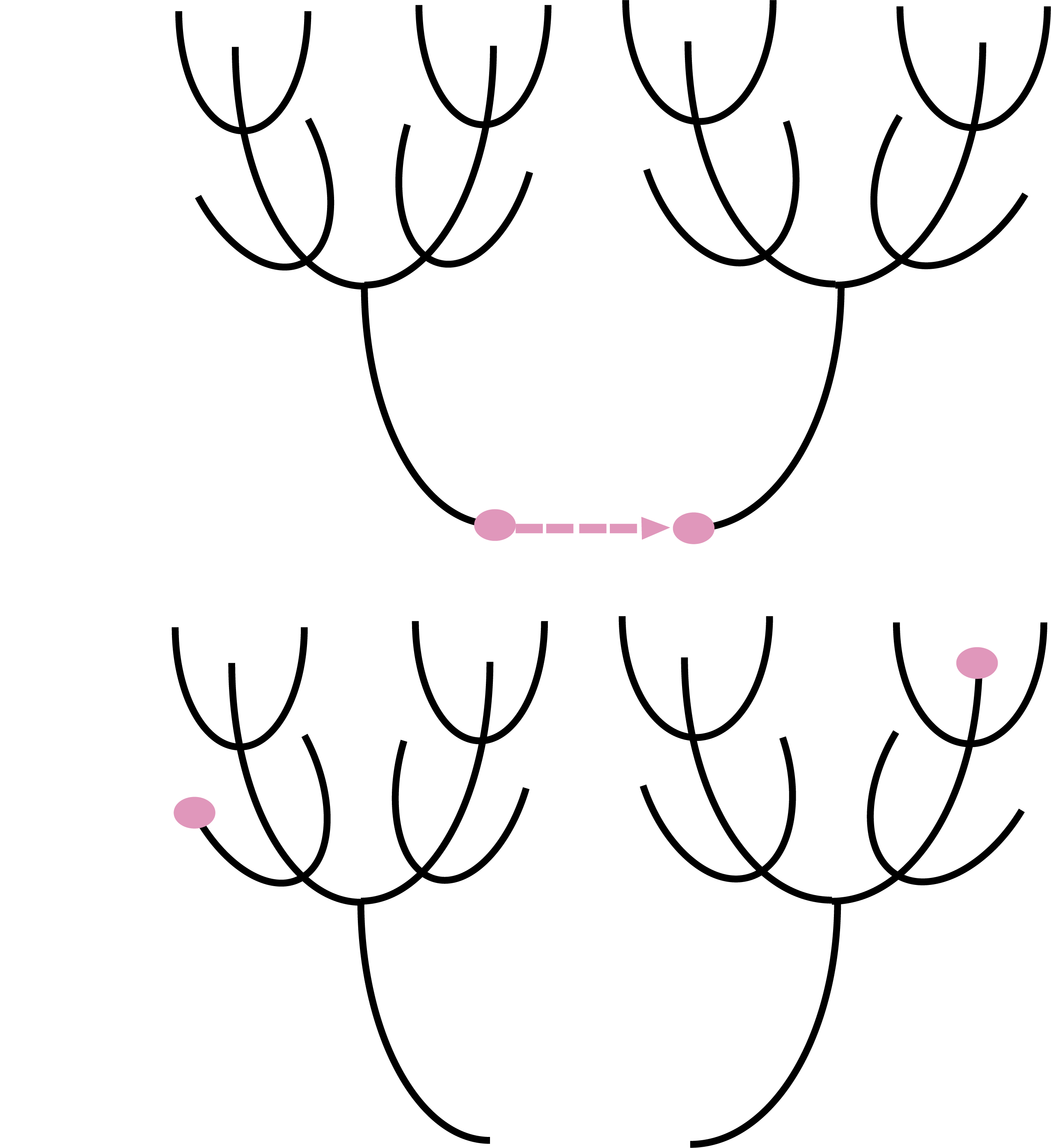 Jerarquías conexiones creatividad