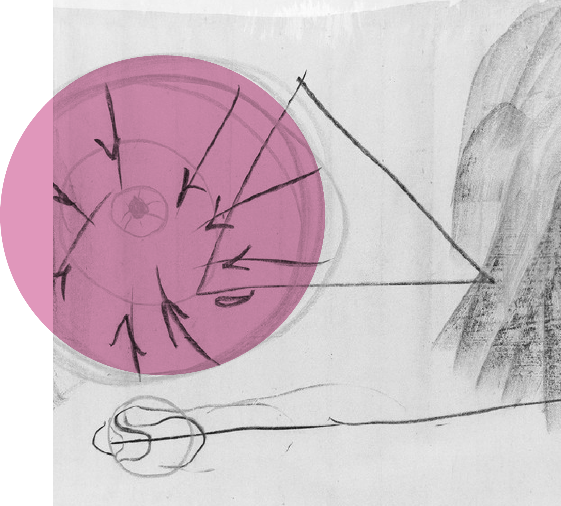 reaprender a mirar para mejorar su creatividad