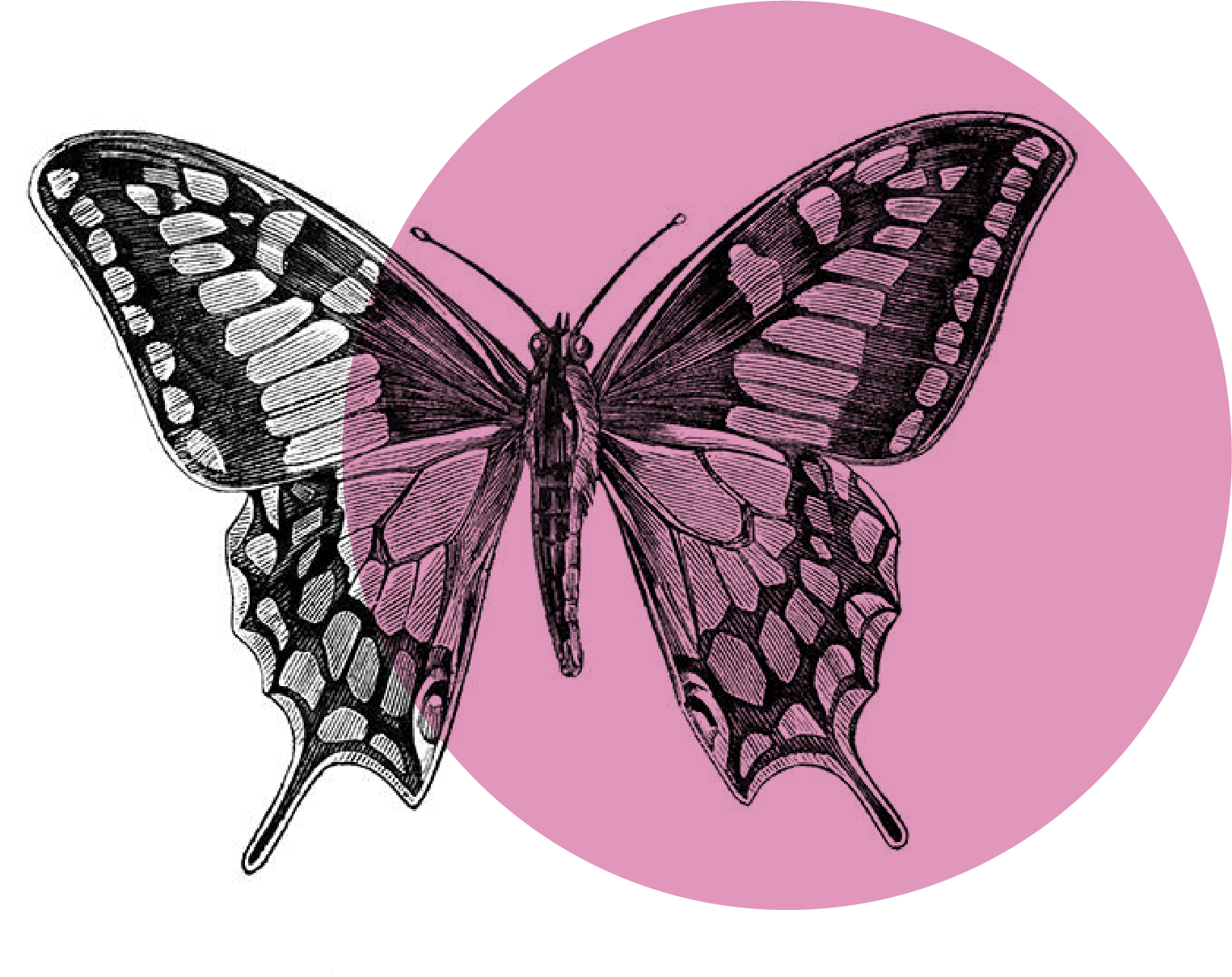 imaginación y creatividad