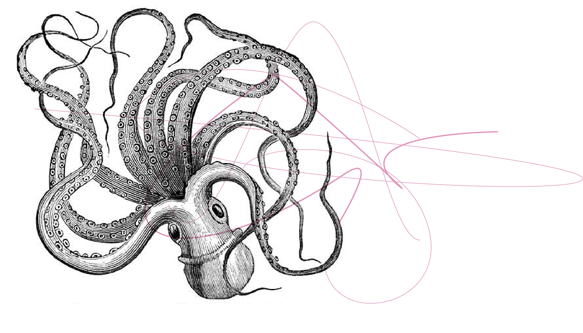 locura y creatividad