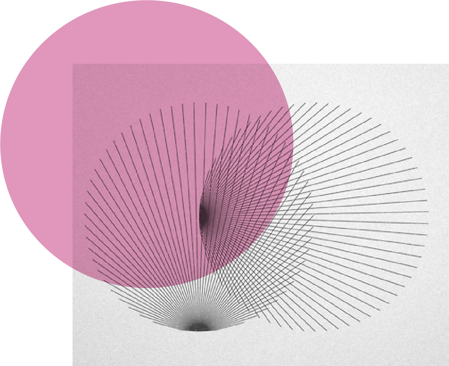 bilingüismo y creatividad