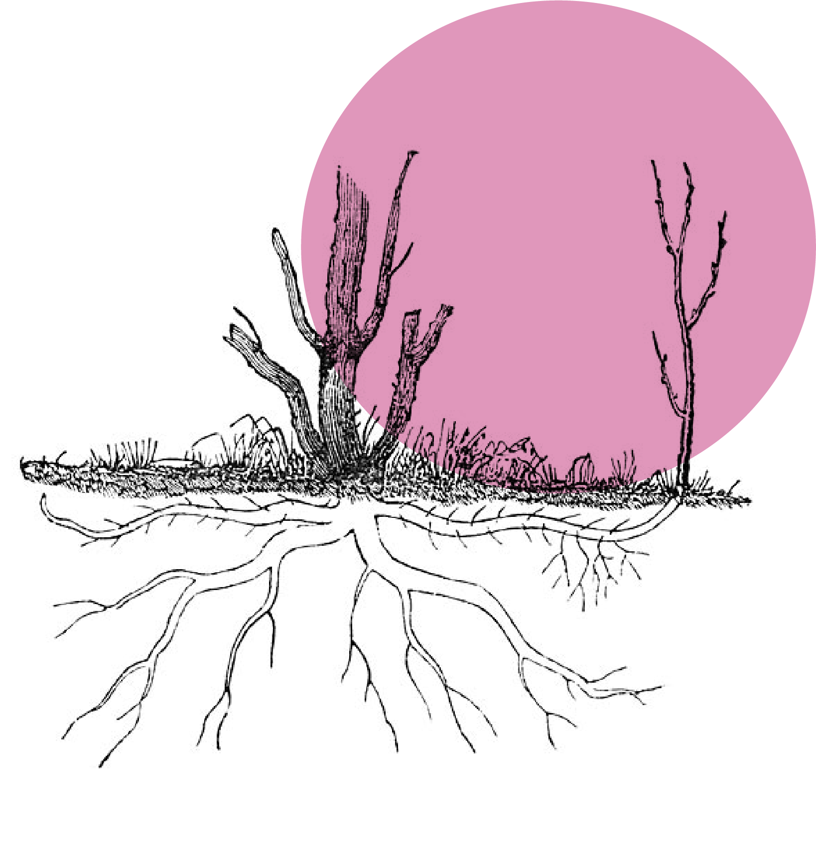 motivaciones de la creatividad